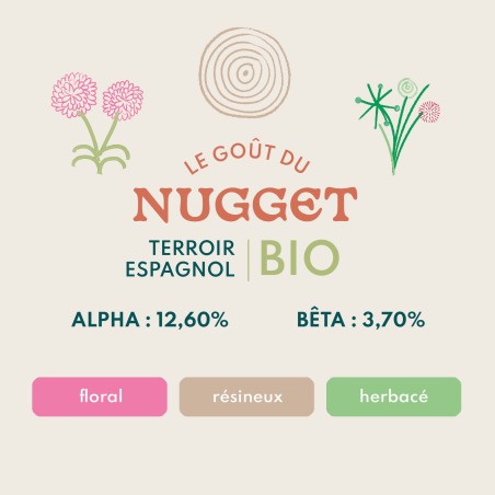 Nugget BIO