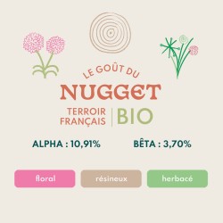 Nugget BIO