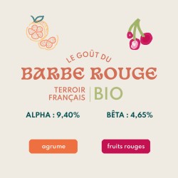 Barbe rouge BIO