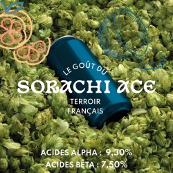 Sorachi Ace