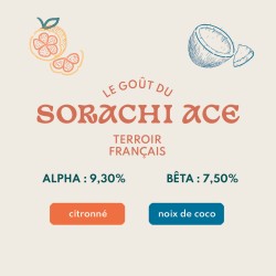 Sorachi Ace