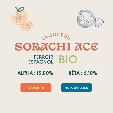 Sorachi Ace BIO