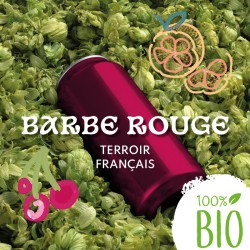 Barbe rouge BIO