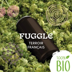Fuggle BIO