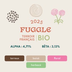 Fuggle BIO