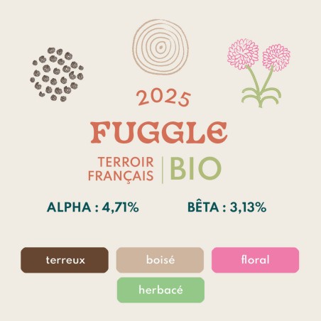 Fuggle BIO