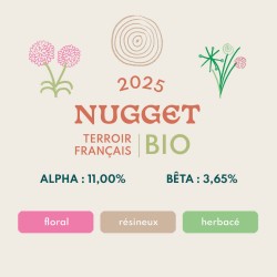 Nugget BIO