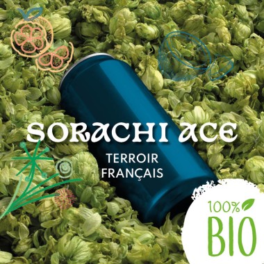 Sorachi Ace BIO