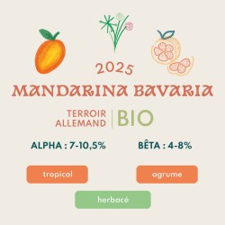 Mandarina Bavaria BIO