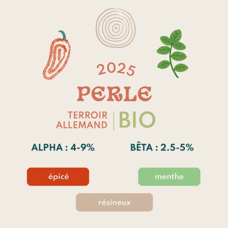 Perle BIO
