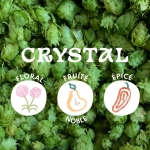 Houblon Crystal