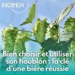 Bien choisir et utiliser son houblon : la clé d’une bière réussie