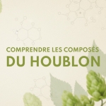Composés du houblon : comprendre les huiles essentielles et arômes